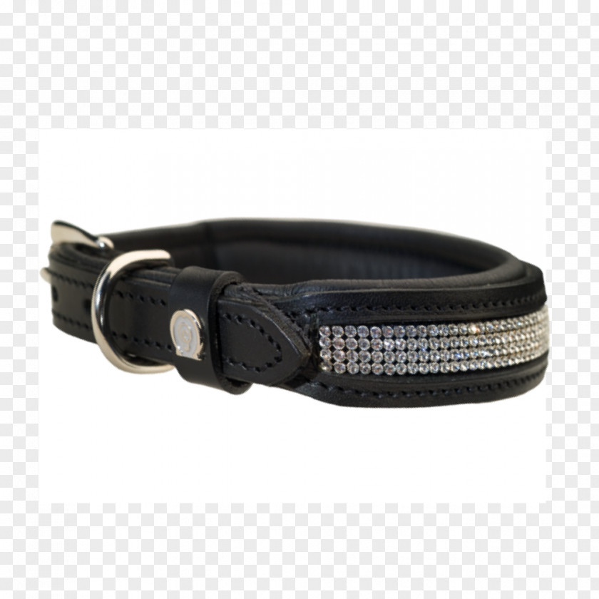 Collar Dog Belt Buckles PNG