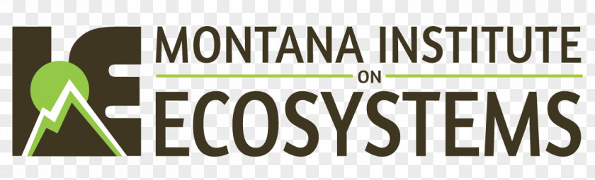 Design Logo Brand Montana PNG