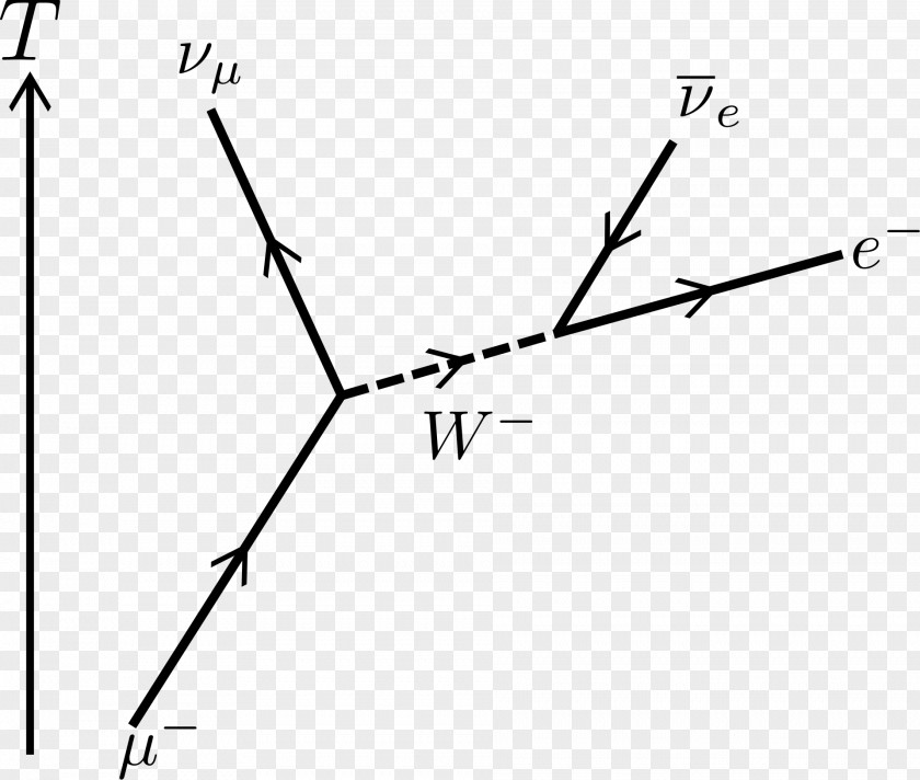 电 Feynman Diagram Muon Radioactive Decay Electron Neutrino PNG