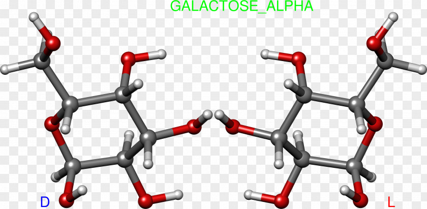 Galactose1phosphate Uridylyltransferase Galactose Gulose Carbohydrate Glucose Bicycle Handlebars PNG