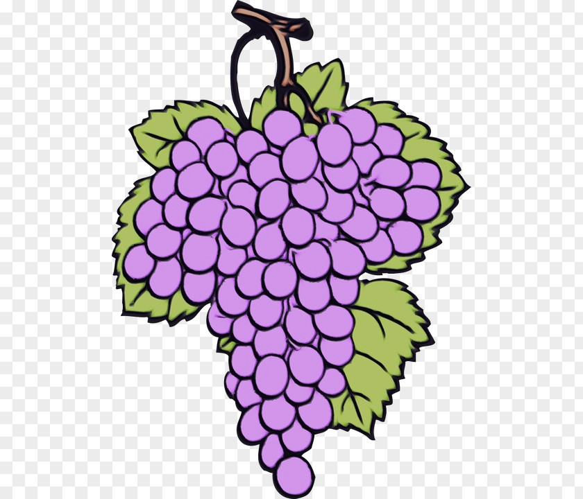 Hydrangea Fruit Family Tree Design PNG