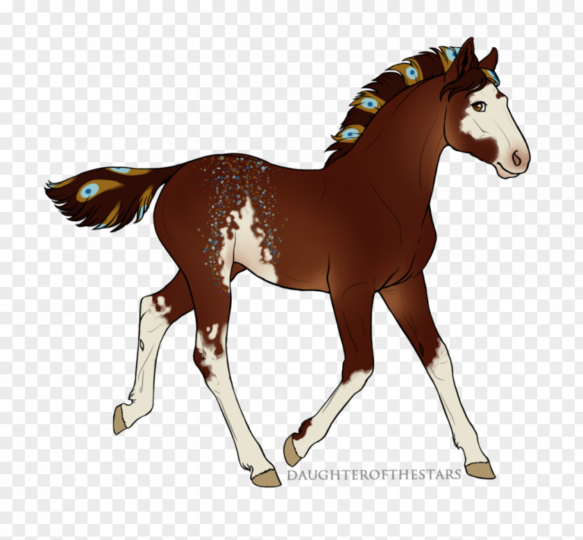 Ibn Al-qayyim Calligraphy Mustang Foal Stallion Pony Mare PNG