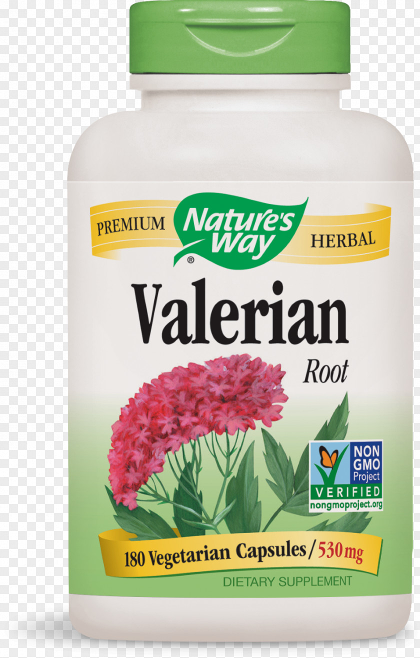 Nongmo Project Valerian Dietary Supplement Capsule Extract Valerenic Acid PNG
