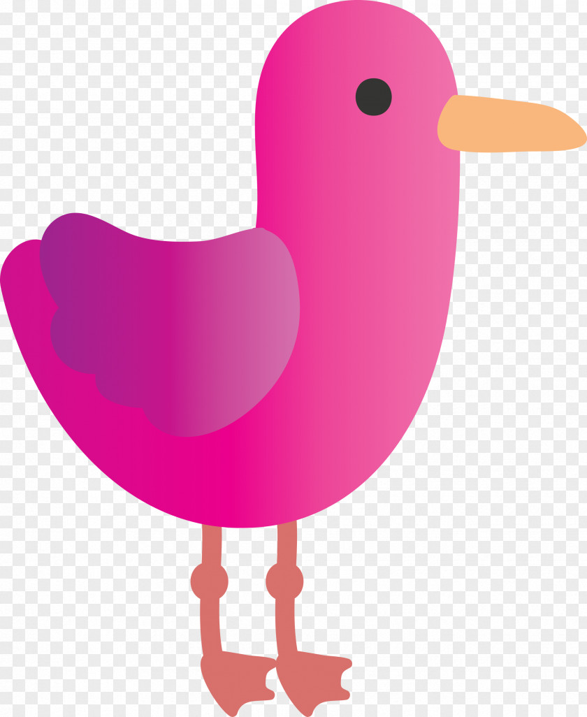 Pink Bird Water Beak PNG