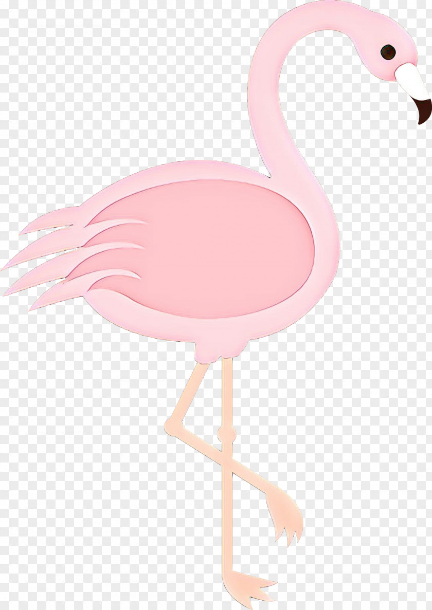 Product Design Pink M Beak Neck PNG
