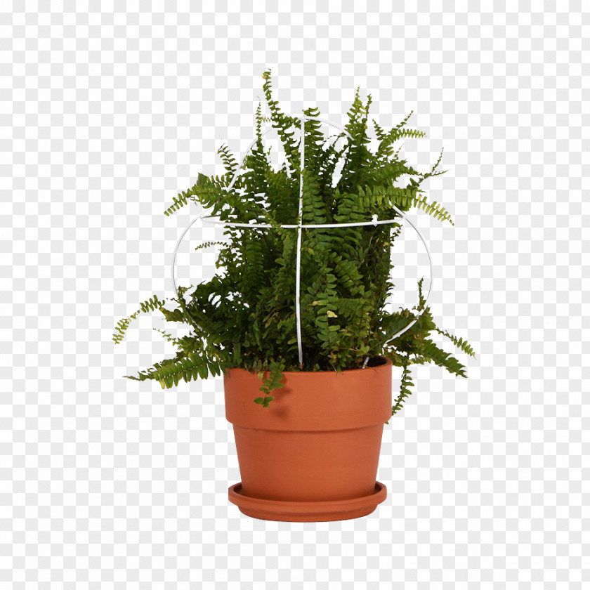Vase Flowerpot Crock Houseplant Garden PNG