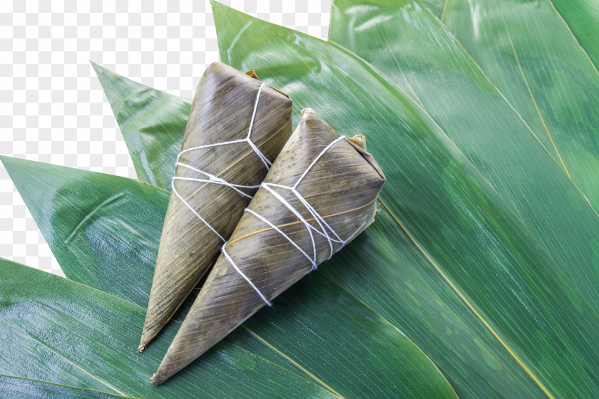 2 Dumplings On The Bamboo Leaves Zongzi Rice Pudding Suman Bxe1nh Chu01b0ng Cake PNG