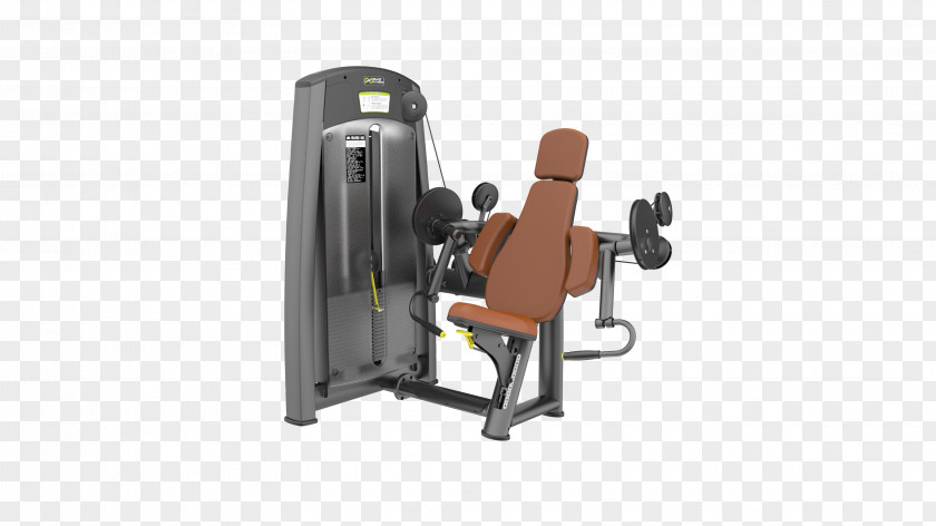 Bodybuilding Biceps Curl Fitness Centre Exercise Equipment Machine PNG