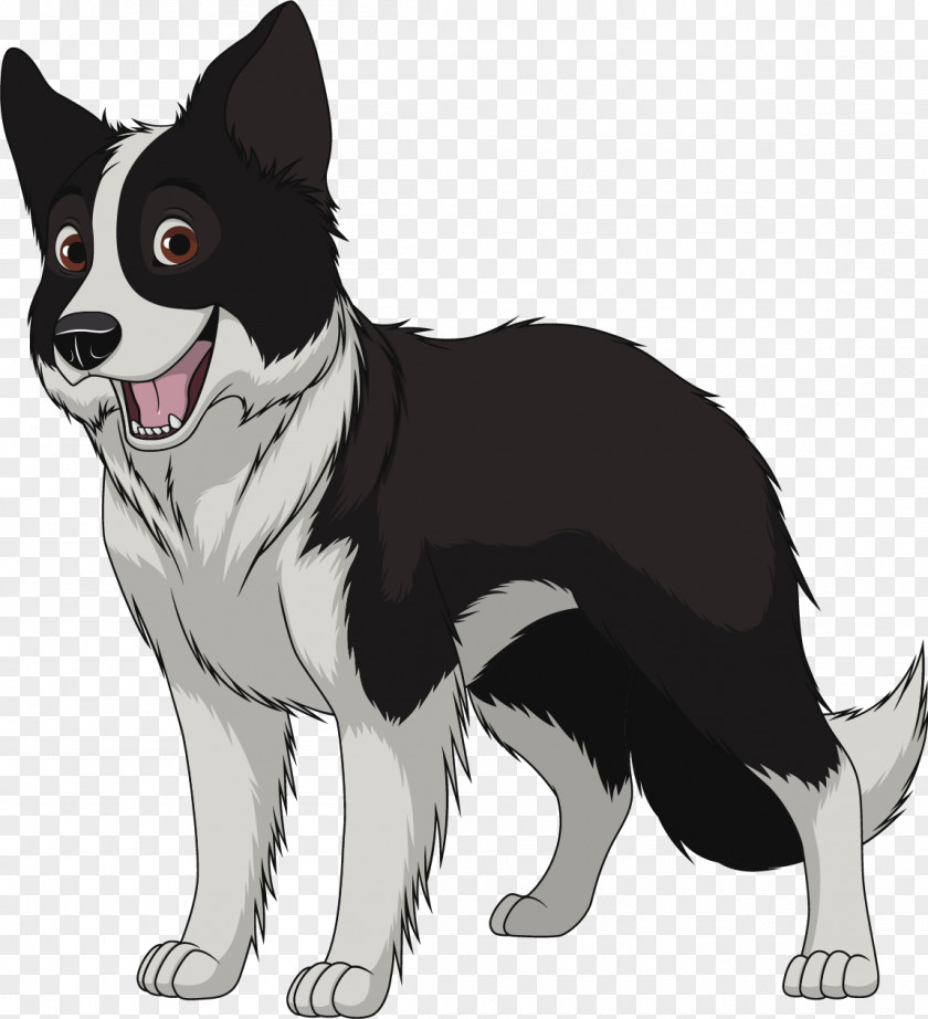 Border Collie Poppys Paws Rough Breed PNG