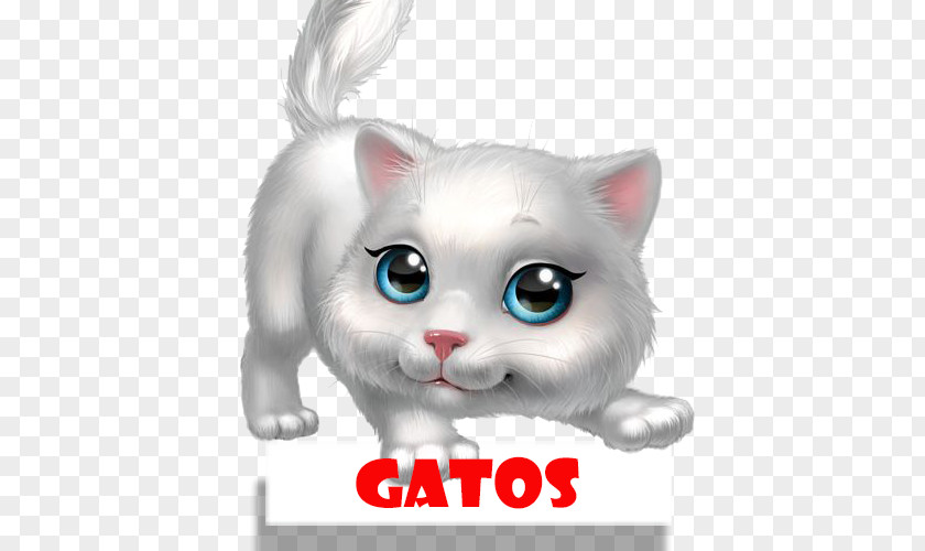 Cat Kitten Clip Art Image PNG