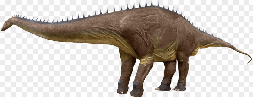 Dinosaur Tyrannosaurus Argentinosaurus Moab Giants Giganotosaurus Brachiosaurus PNG