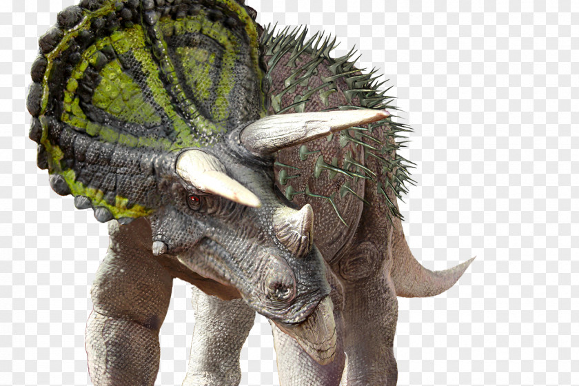 Dinosaur Tyrannosaurus Triceratops Velociraptor South Australian Museum PNG