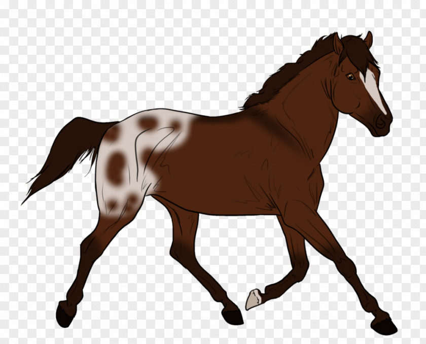 Horse Wall Decal Mane Colt Mare PNG