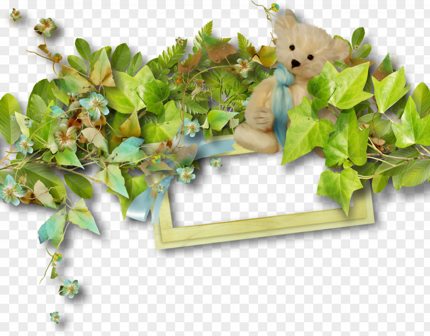 Bear Photo Frame Picture Digital PNG