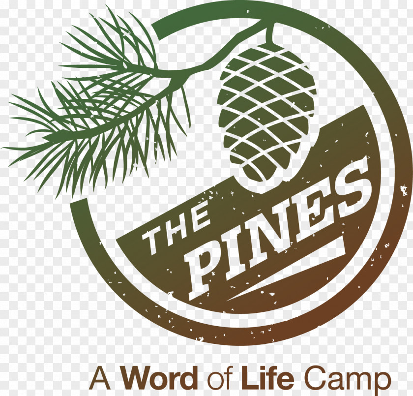 Line Logo Pine Brand Font PNG