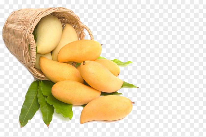 Mango Juice Vesicles India Alphonso PNG