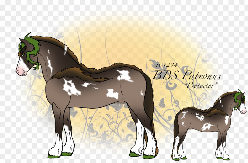 Mustang Stallion Foal Colt Mare PNG