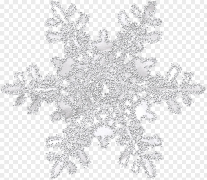 Snowflake Image Earring Christian Connolly Clip Art PNG