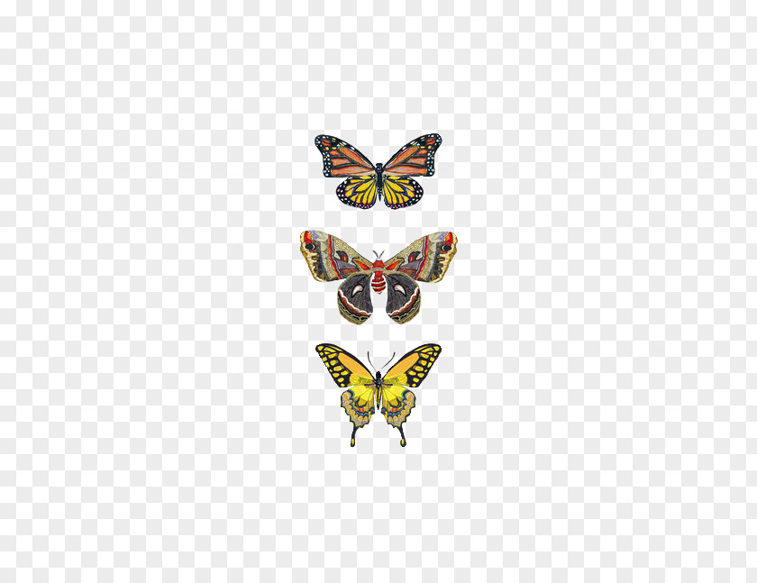Watercolor Butterfly Monarch Insect Greta Oto Moth PNG