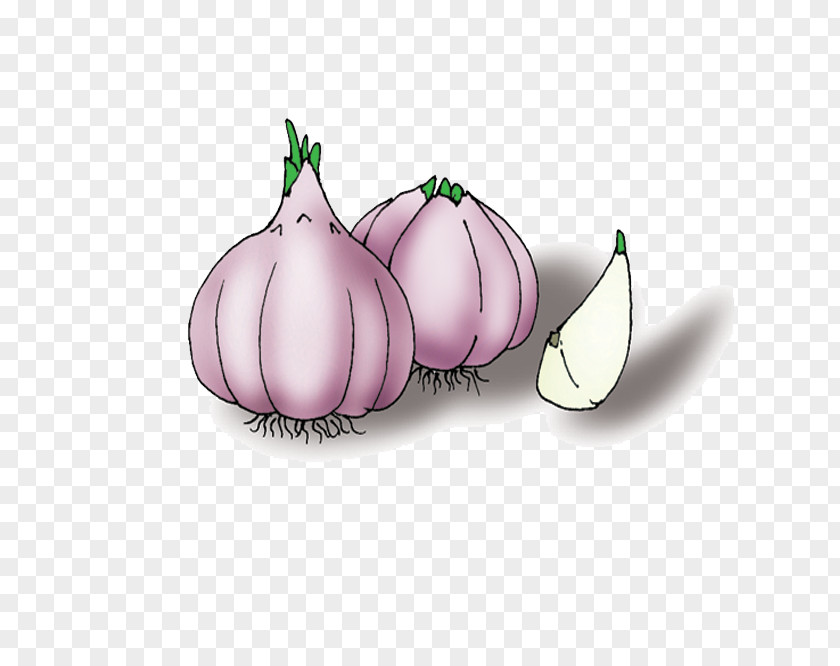 Cartoon Garlic PNG