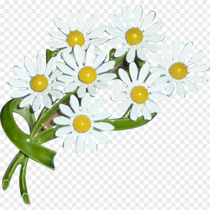 Daisy Common Flower Bouquet Clip Art PNG