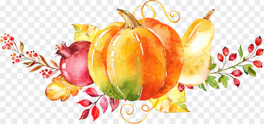Hand-painted Vegetable Watercolor Painting Autumn Clip Art PNG