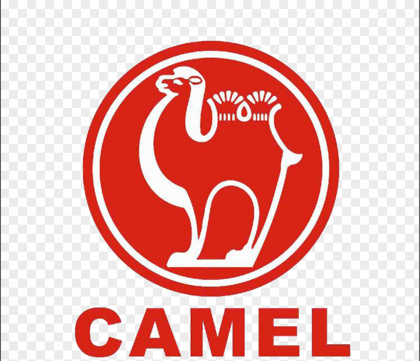 Outdoor Camel Logo Group Co Brand PNG