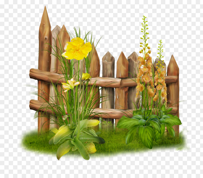 Summer Garden Pixabay Fence Wall Flowerpot PNG