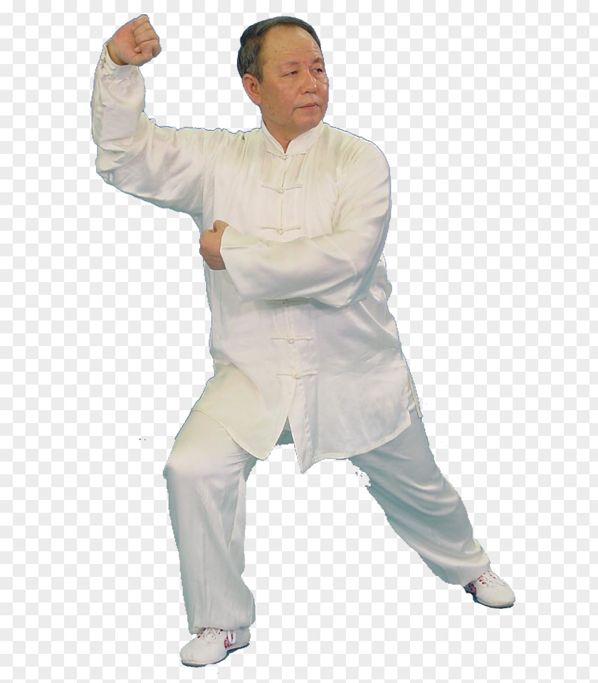 Tai Chi Xing Yi Quan Zhan Zhuang Qigong Chinese Martial Arts PNG
