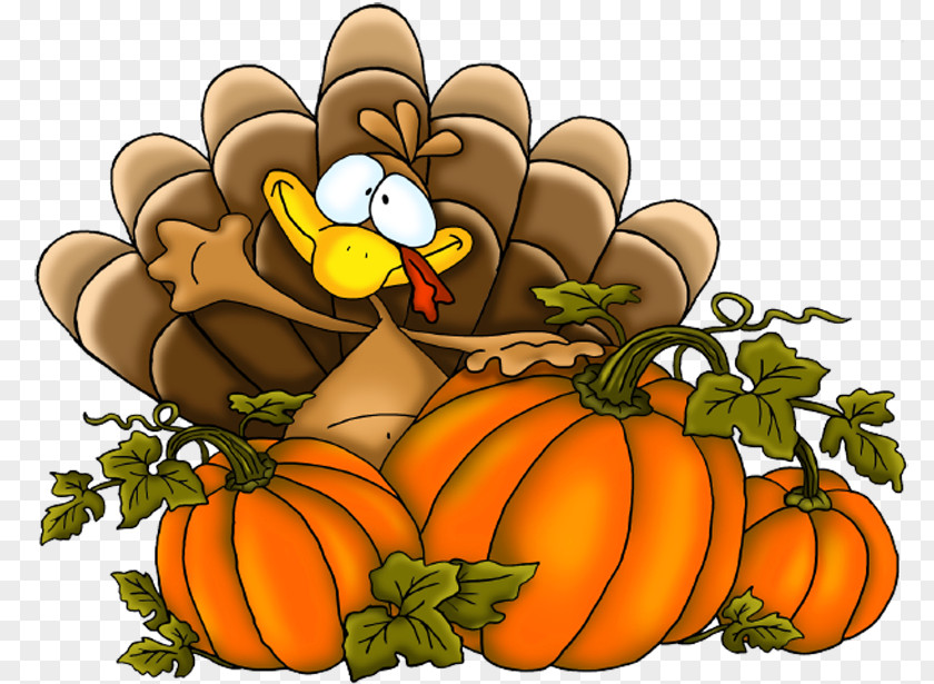 Thanksgiving Turkey Clipart PNG