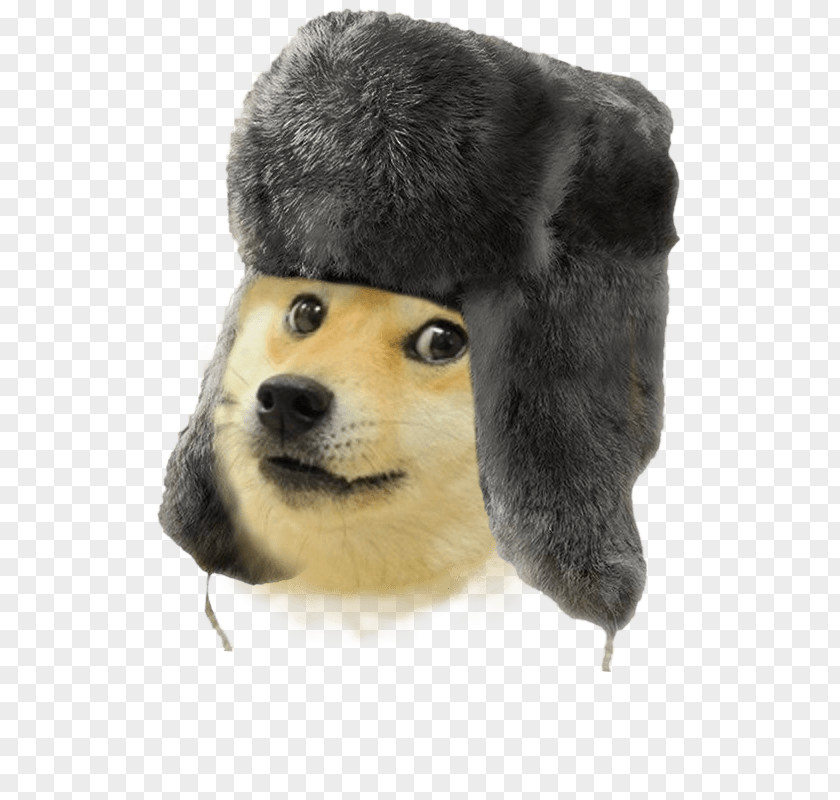 Weather Doge Forecasting Rain And Snow Mixed PNG