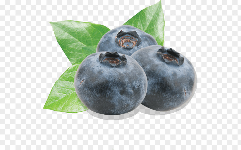Blueberries Blueberry Bilberry Fruit Driscoll's PNG