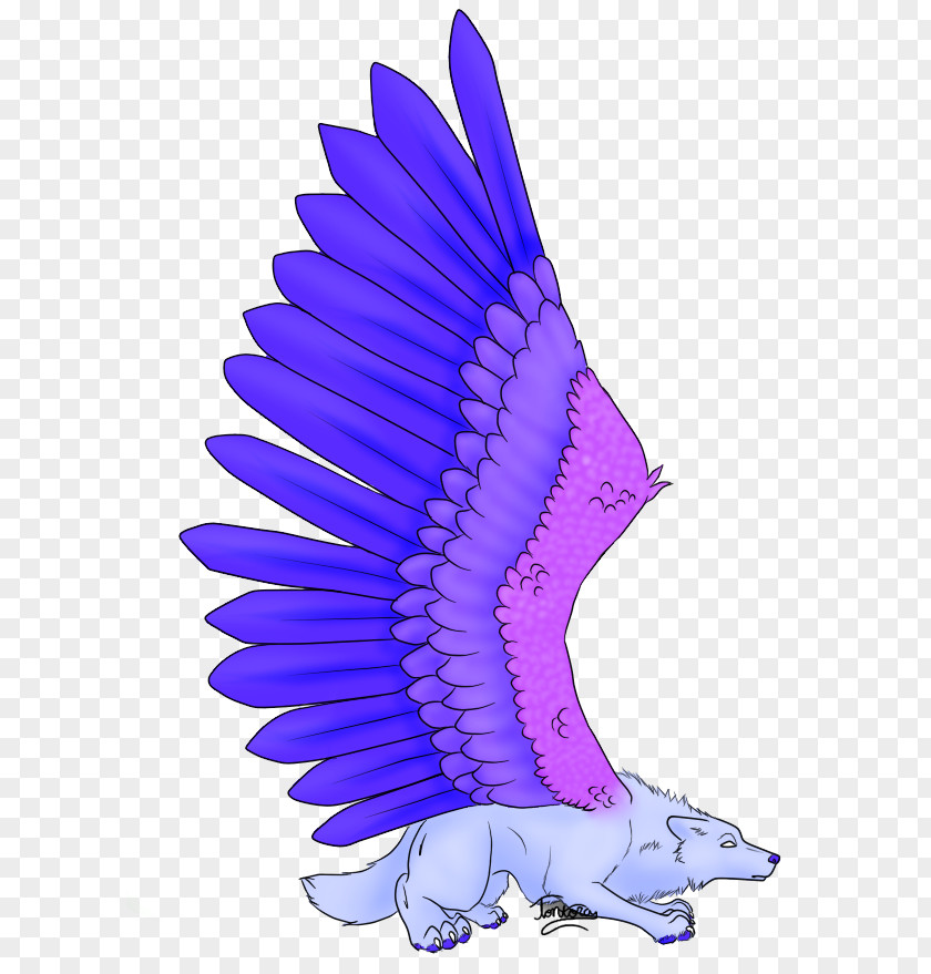 Purple Winged Wolf Drawings Indiana University Bloomingtown College Blue School PNG