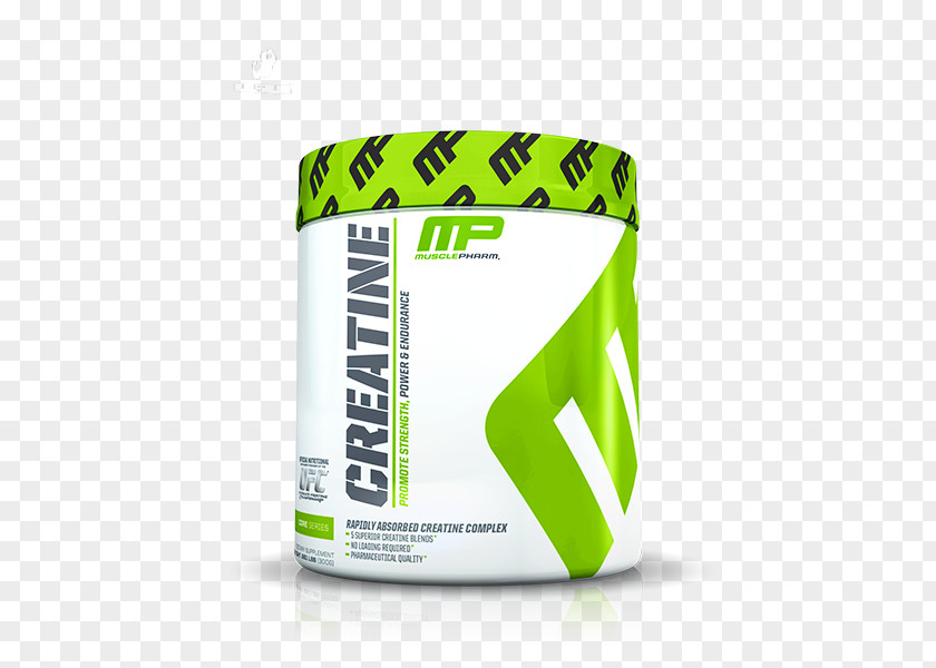 Vietnam Construction Dietary Supplement MusclePharm Corp Creatine Branched-chain Amino Acid Bodybuilding PNG