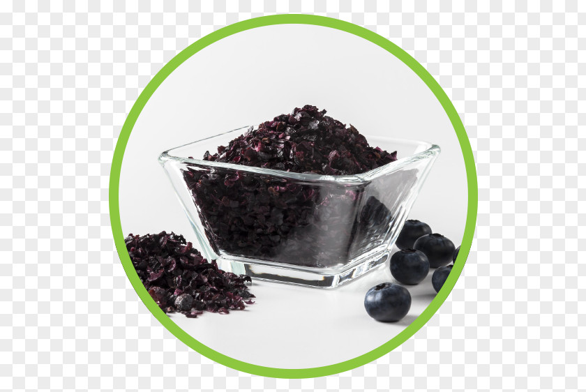 Blueberry Hotel Aronia Beach Food Fruit Chokeberry PNG