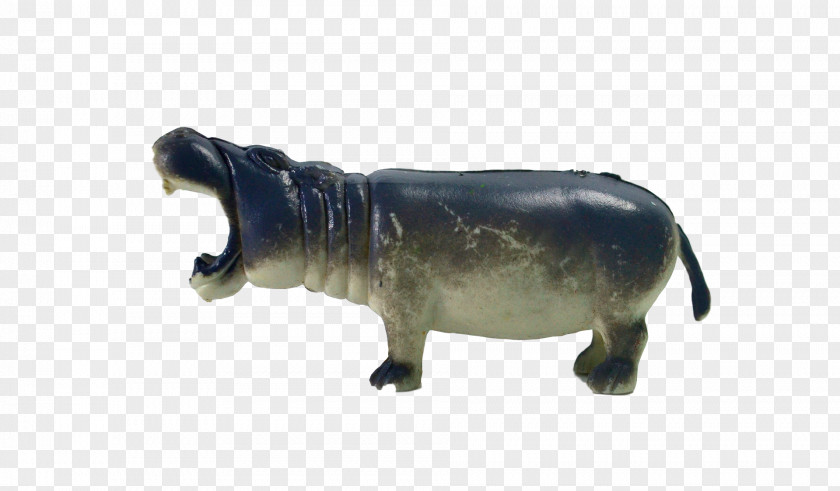 Cattle Hippopotamus Terrestrial Animal Wildlife PNG