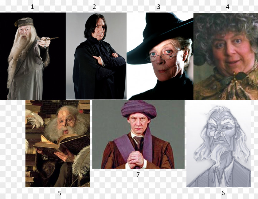 Collage Professor Filius Flitwick Minerva McGonagall Warwick Davis Harry Potter And The Philosopher's Stone Hogwarts PNG