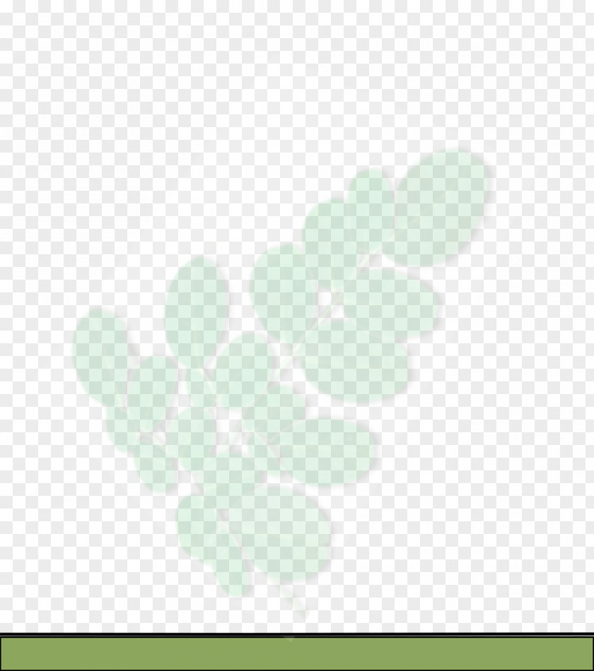 Moringa Desktop Wallpaper Computer Leaf PNG