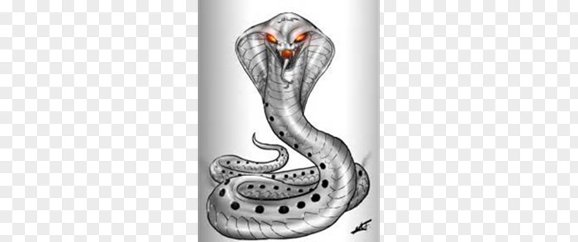 Snake King Cobra Vipers Drawing PNG