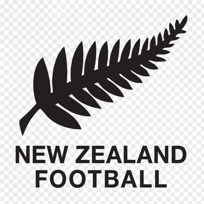 Football New Zealand National Team Oceania Confederation Women's PNG