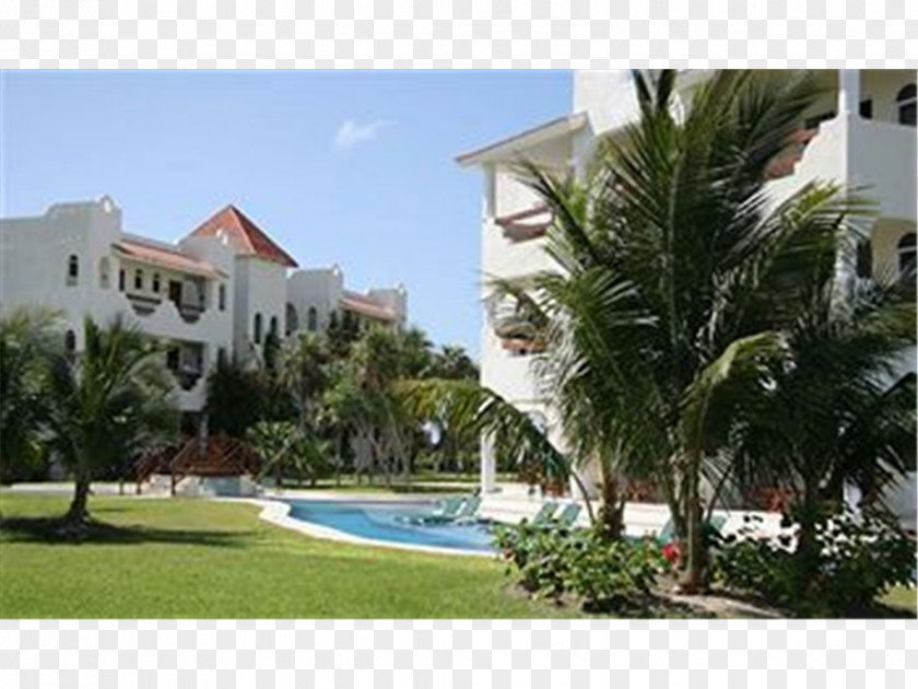Hotel Playa Del Carmen El Dorado Royale Resort Beach PNG