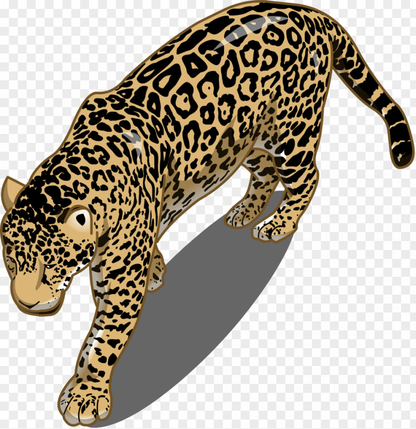 Leopard Jaguar Cheetah Lion Ocelot PNG