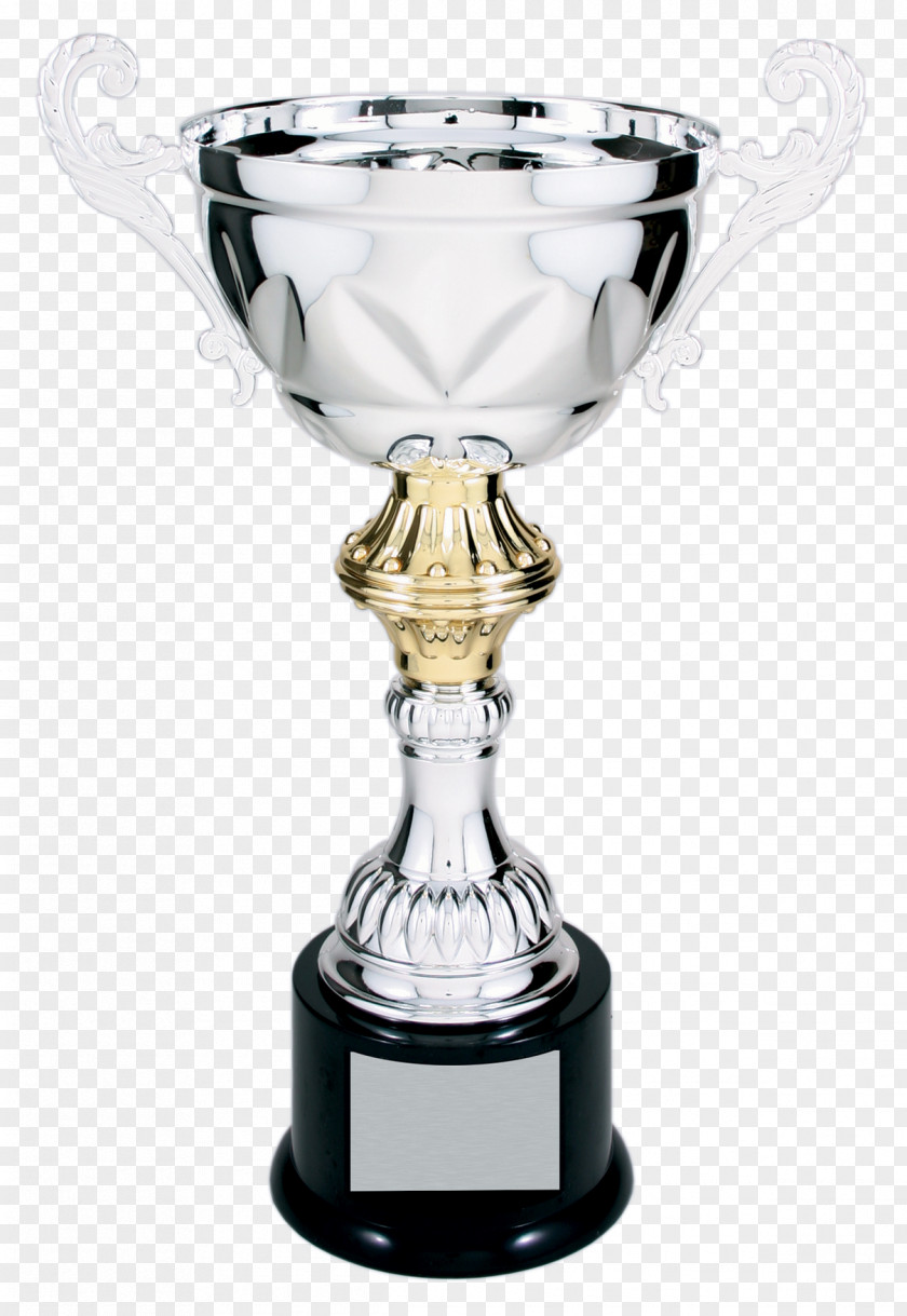 Trophy Cup Rex Trophies Of Poway Award Medal PNG