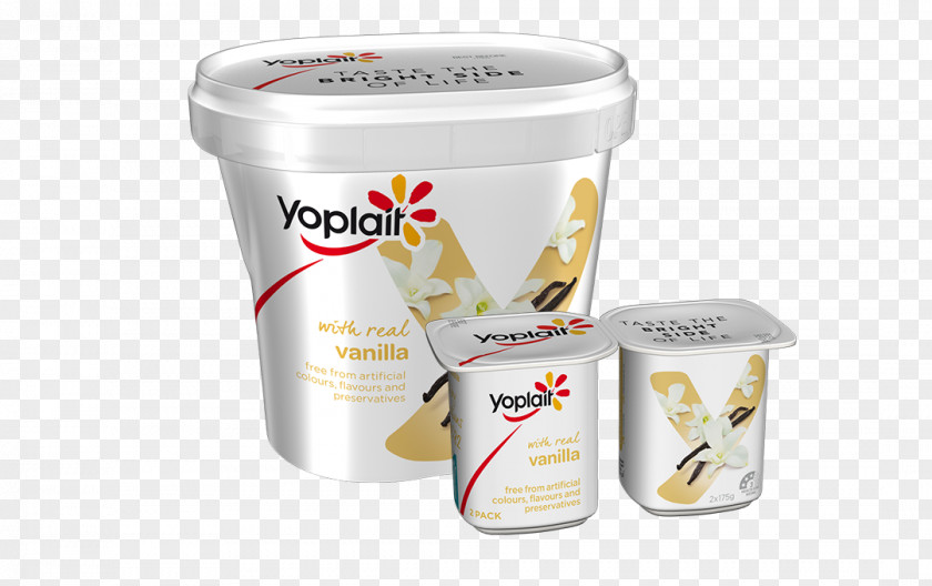 Yoplait Yoghurt Flavor Berry Sugar PNG