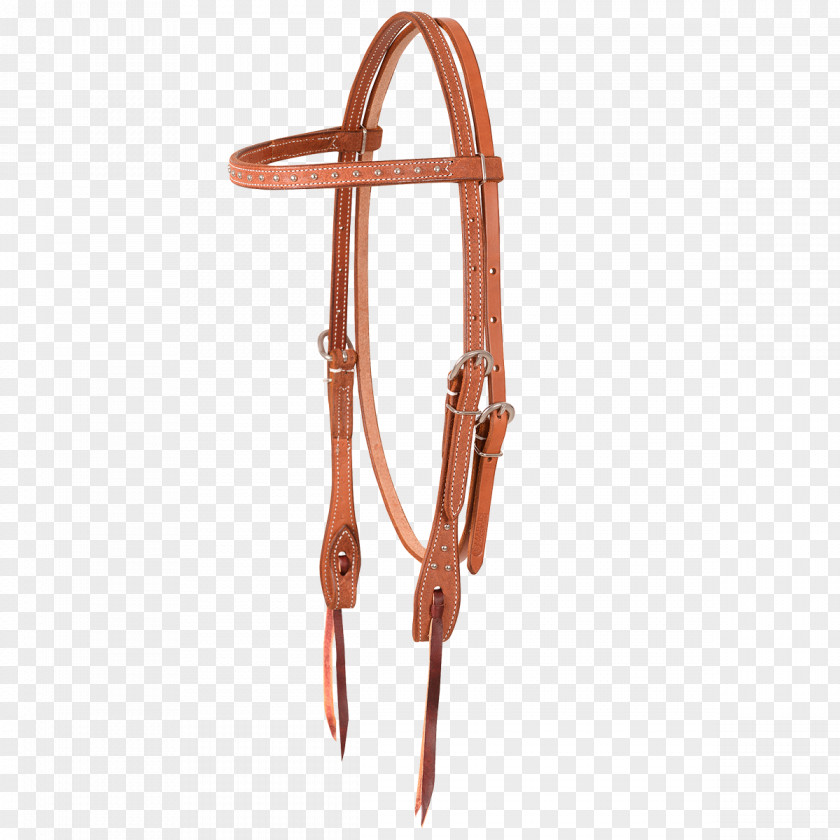 Bridle Rein Equestrian Snaffle Bit Brass PNG