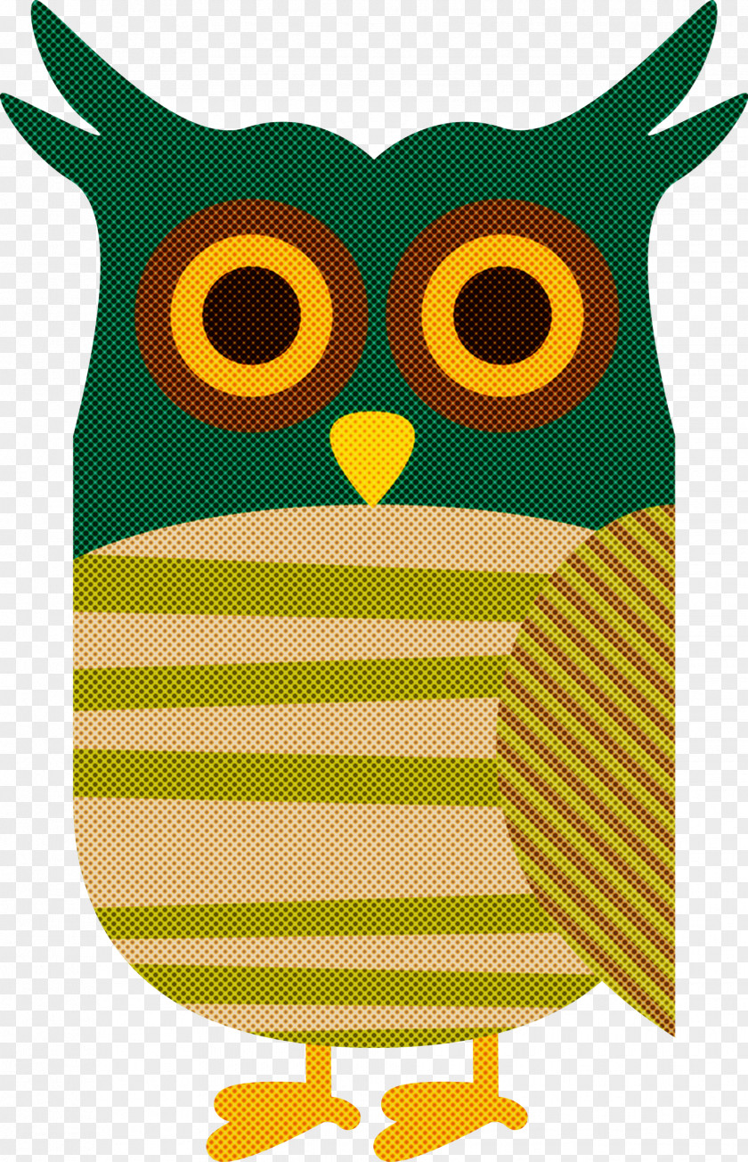 Owls Birds Beak Finches Eastern Screech Owl PNG