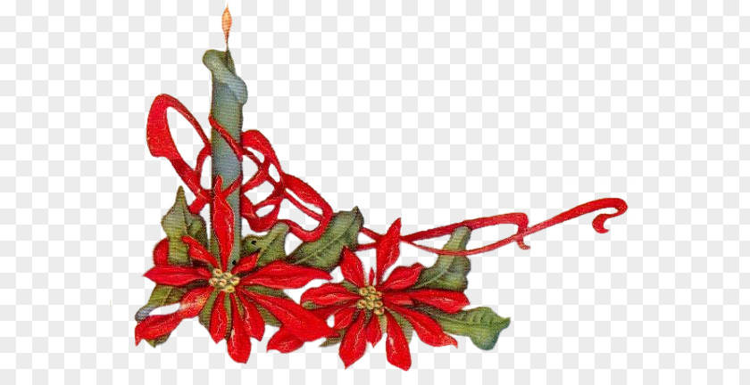 Chandelle Christmas Ornament Floral Design Cut Flowers Food PNG
