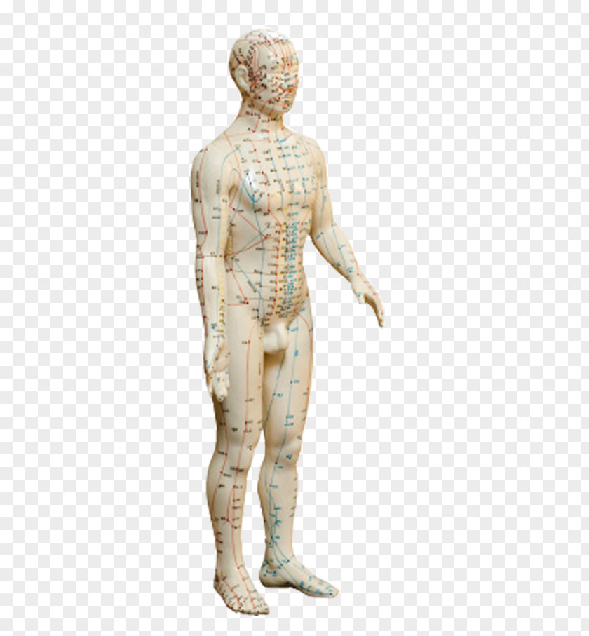 Palpitation Classical Sculpture Homo Sapiens Figurine Classicism PNG
