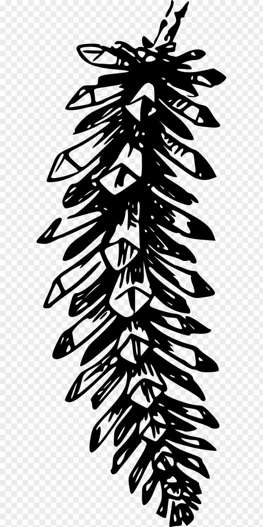 Pine Leaves Conifer Cone Clip Art PNG