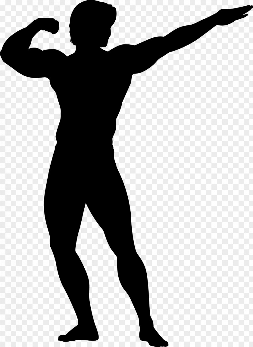 Standing Arnold Schwarzenegger Fitness Cartoon PNG